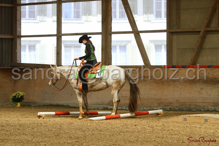 28-ApHC OT_125.jpg